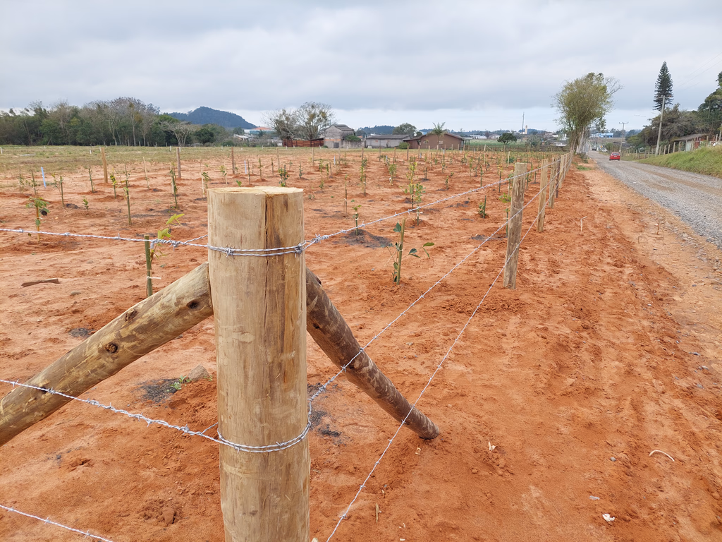 Cerca de madeira com arame farpado em área rural para proteção e cercamento de plantação.